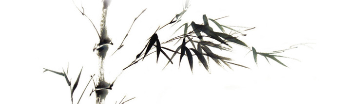 Article4_Vide